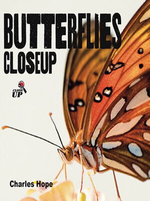 cover image of Butterflies CloseUp